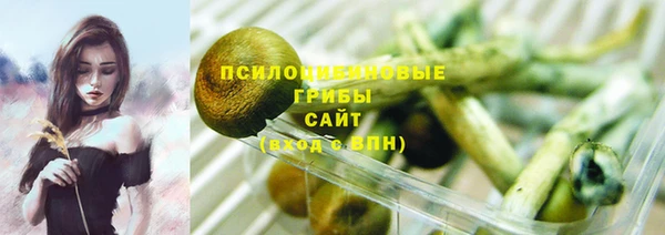 твердый Протвино
