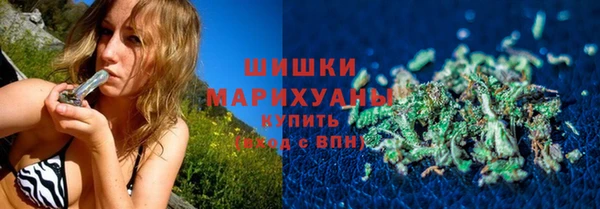 индика Балахна