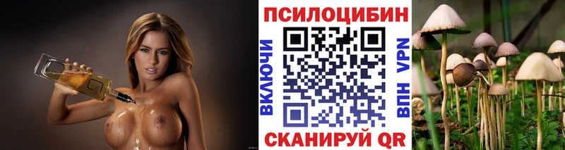 Псилоцибиновые грибы прущие грибы  Суровикино 