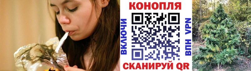 дарк нет официальный сайт  Суровикино  Бошки марихуана план 